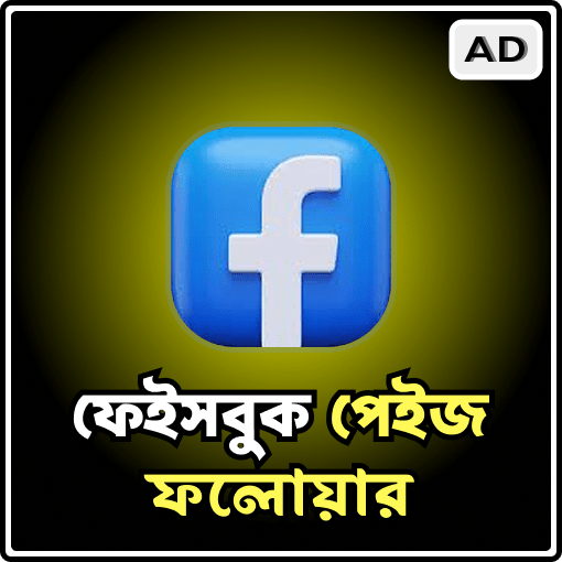 Facebook Page Followers